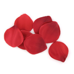 EXTASE SENSUAL - ROTE VERSUCHUNGSTRUHE – Produktansicht 4
