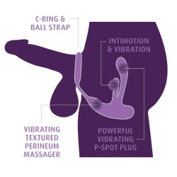 ANAL FANTASY ELITE - WIEDERAUFLADBARER ANAL- UND PERINEALSTIMULATOR FÜR ASS-GASMUS-INTIMOTION – Produktansicht 5