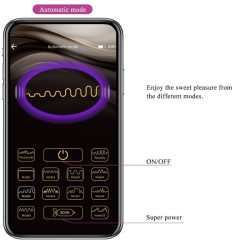PRETTY LOVE - ELVIRA KEGEL BALLS APP FERNBEDIENUNG LILA – Produktansicht 13