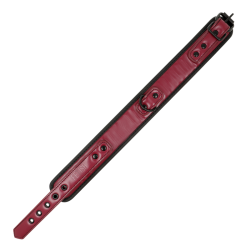 FETISH SUBMISSIVE DARK ROOM - KETTENHALSKETTE MIT NEOPRENFUTTER – Produktansicht 7
