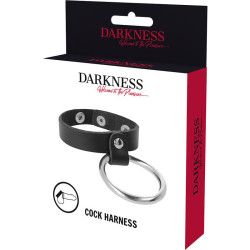 DARKNESS - METALLRING FÜR PENIS UND HODEN – Produktansicht 5