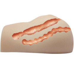 CRAZY BULL - REALISTISCHE VAGINA UND ANUS MIT VIBRATIONSPOSITION 7 – Produktansicht 5