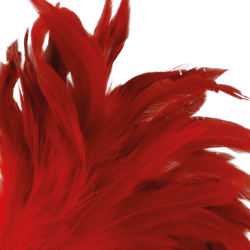 DARKNESS - ROTER STIMULIERENDER STIFT 24CM – Produktansicht 2