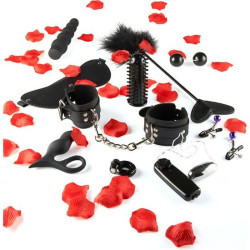 TOYJOY - ERSTAUNLICHES VERGNÜGEN-SEXSPIELZEUG-KIT – Produktansicht 4
