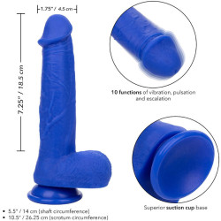 CALEXOTICS - ADMIRAL KAPITN REALISTISCHER DILDO-VIBRATOR BLAU – Produktansicht 4
