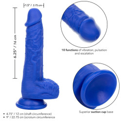CALEXOTICS - ADMIRAL SAILOR REALISTISCHER DILDO-VIBRATOR BLAU – Produktansicht 4