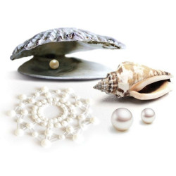 BIJOUX - INDISCRETS MIMI PEARL GOLDEN – Produktansicht 2