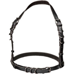 CALEXOTICS - EUPHORIA HALFTERSCHNALLENGESCHIRR SCHWARZ – Produktansicht 4