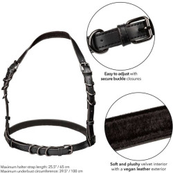 CALEXOTICS - EUPHORIA HALFTERSCHNALLENGESCHIRR SCHWARZ – Produktansicht 5