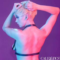 CALEXOTICS - EUPHORIA HALFTERSCHNALLENGESCHIRR SCHWARZ – Produktansicht 6