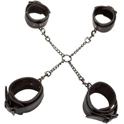 CALEXOTICS - EUPHORIA HOG BINDUNG – Produktansicht 6