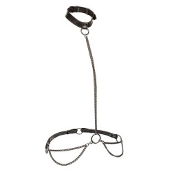 CALEXOTICS - EUPHORIA KETTENHALFTERHALSBAND UND LEINE – Produktansicht 2
