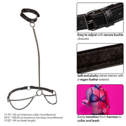 CALEXOTICS - EUPHORIA KETTENHALFTERHALSBAND UND LEINE – Produktansicht 3
