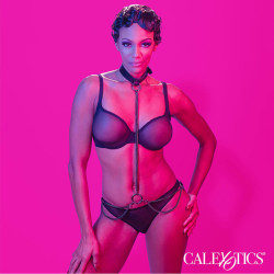 CALEXOTICS - EUPHORIA KETTENHALFTERHALSBAND UND LEINE – Produktansicht 5