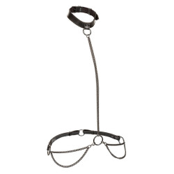 CALEXOTICS - EUPHORIA KETTENHALFTERHALSBAND UND LEINE ÜBERGRÖSSE – Produktansicht 2