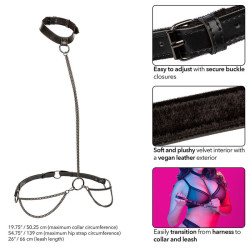 CALEXOTICS - EUPHORIA KETTENHALFTERHALSBAND UND LEINE ÜBERGRÖSSE – Produktansicht 5
