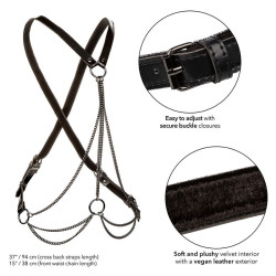CALEXOTICS - EUPHORIA MULTICHAIN HARNESS PREMIUM – Produktansicht 3