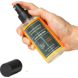 EYE OF LOVE - BLOOM RAUMSPRAY SATIVA EARTHS DESIRE 150 ML – Produktansicht 2