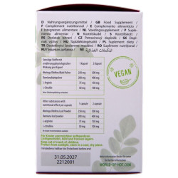 HOT - MORINGA DAMENKAPPE 60 EINHEITEN – Produktansicht 4
