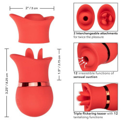 CALEXOTICS - FRENCH KISS SUCK & PLAY SET – Produktansicht 3