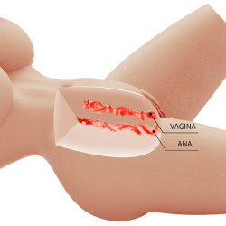 CRAZY BULL - LILY REALISTISCHER WEIBLICHER TORSO VAGINA UND ANAL 4 KG – Produktansicht 7