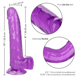 CALEXOTICS - GRÖSSE KÖNIGIN-DILDO LILA 20.3 CM – Produktansicht 5