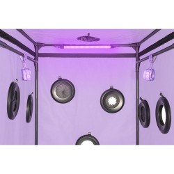 SECRET DOME - KINK CLUB CABIN SCANDALE LILA – Produktansicht 19
