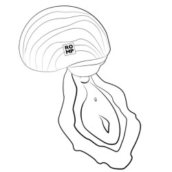ROMP - SPIN CLITORAL SUCTION ANTITUDE WITH ROTATING OPING AND CLINGS – Produktansicht 16