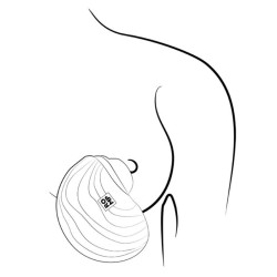 ROMP - SPIN CLITORAL SUCTION ANTITUDE WITH ROTATING OPING AND CLINGS – Produktansicht 17