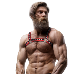 FETISH SUBMISSIVE ATTITUDE - BRUST-BULLDOG-GESCHIRR AUS ÖKOLEDER FÜR HERREN, SCHWARZ/ROT – Produktansicht 4