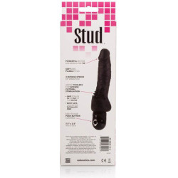CALEXOTICS - POWER STUD CLITERRIFIC SCHWARZER VIBRATOR – Produktansicht 3