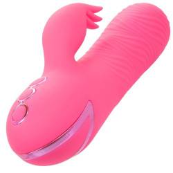 CALEXOTICS - SACRAMENTO SWEETIE VIBRATOR RABBIT PINK VON CALIFORNIA DREAMING – Produktansicht 4
