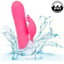 CALEXOTICS - SACRAMENTO SWEETIE VIBRATOR RABBIT PINK VON CALIFORNIA DREAMING – Produktansicht 6