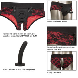 CALEXOTICS - SCANDAL – Produktansicht 6