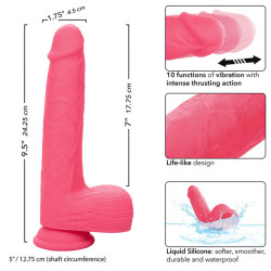 CALEXOTICS - STUDS REALISTISCHER VIBRATOR 10 VIBRATIONEN ROSA – Produktansicht 8