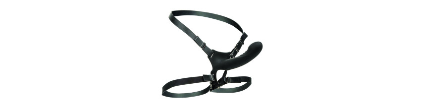 Geschirre mit Vibration