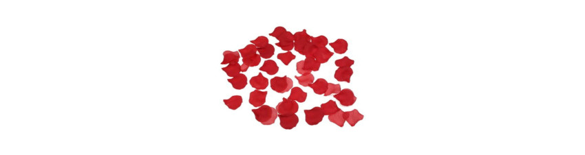 Rosenblüten